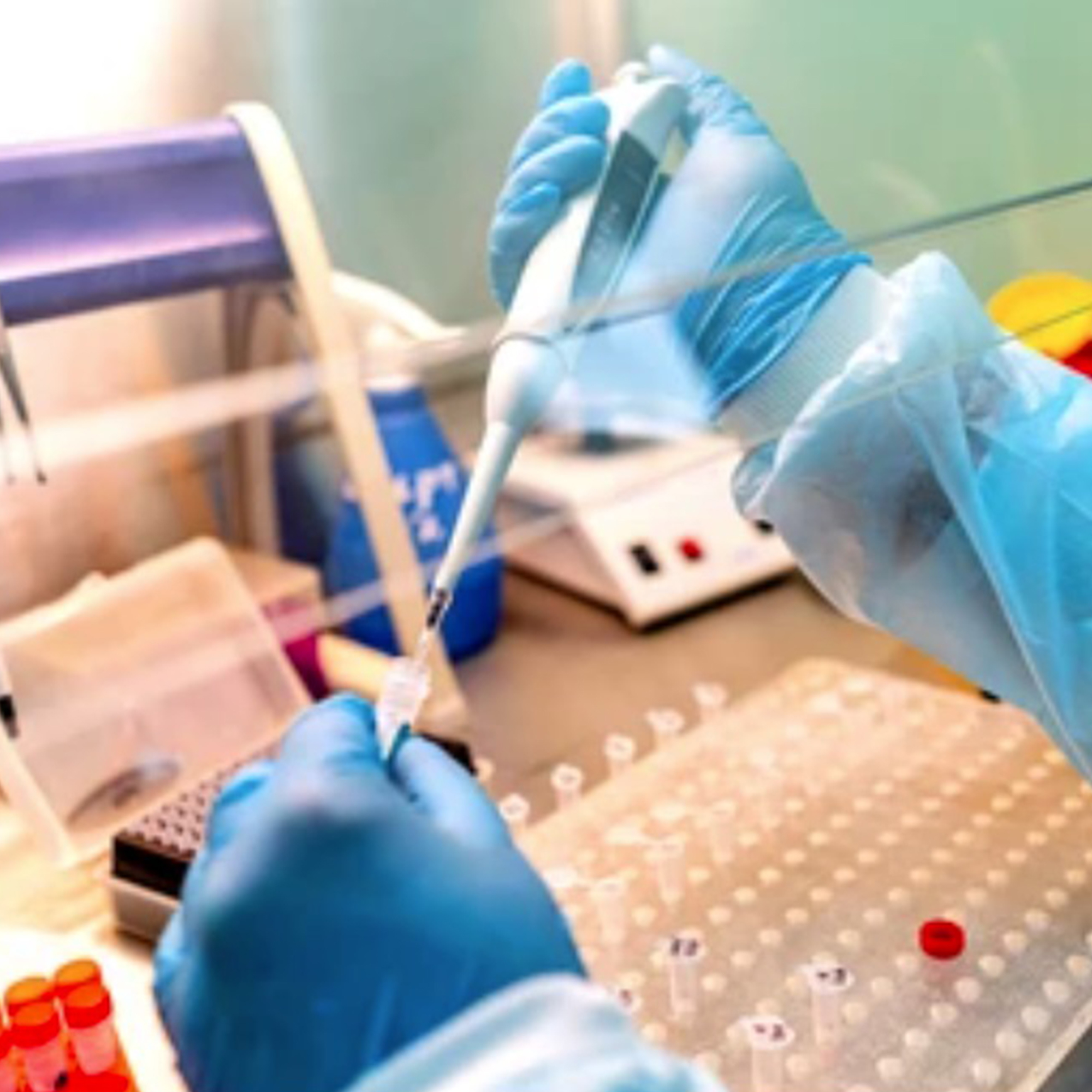 Orvosi Laboratórium/Laboratóriumi Kellékek/Laboratóriumi Műszerek