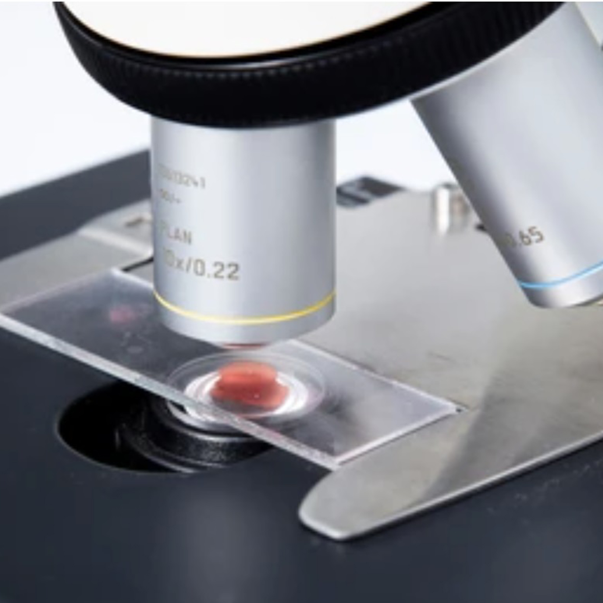 Orvosi Laboratórium/Laboratóriumi Kellékek/Mikroszkópos Fedőüvegek