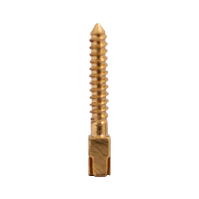 Fogorvosi Rendelő/ENDODONTIA/Endodontie Csontok - PRIMA Csavaros oszlopok, aranyozott rozsdamentes acél, többféle méretben, 10 db