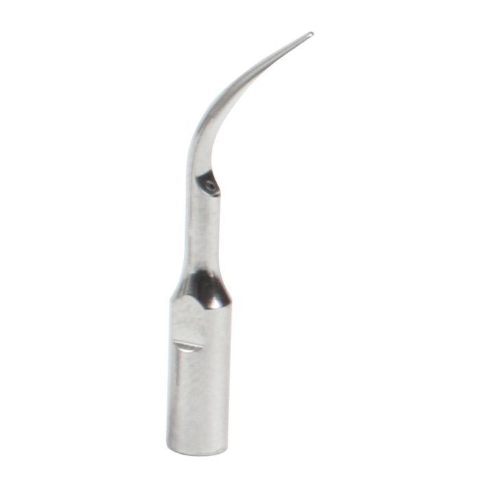 Fogorvosi Rendelő/Profilaxis TERMÉKEK/Tisztító Fogkő Lerakók - Endodontiai pikkelysömör csúcs, supragingivális és interdentális, G