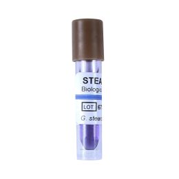 Sterilizálás és Fertőtlenítők/Sterilizálás/Sterilizálási Jelzők és Kiegészítők - Biológiai indikátor Geobacillus Stearothermophilus